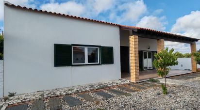 Maison T3 à Nadadouro de 267 m²