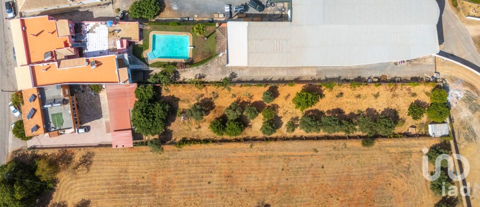 Maison T7 à Olhão de 229 m²