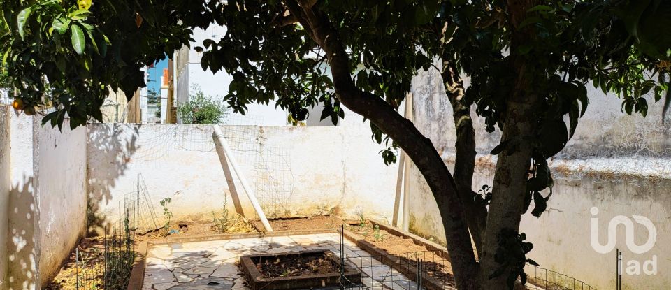 Moradia T3 em Estremoz (Santa Maria e Santo André) de 126 m²