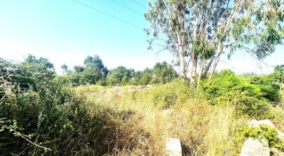 Building plot in Mujães of 720 m²