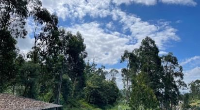 Terrain à Palmeira de Faro e Curvos de 10 350 m²