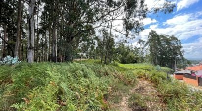 Terrain à Palmeira de Faro e Curvos de 10 350 m²