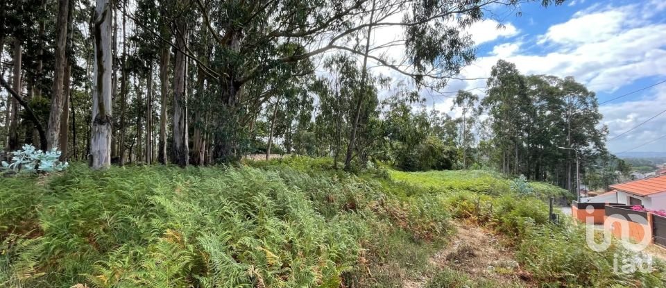 Terrain à Palmeira de Faro e Curvos de 10 350 m²