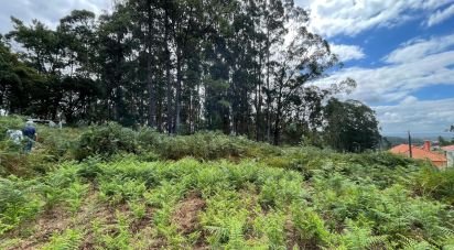 Terrain à Palmeira de Faro e Curvos de 10 350 m²