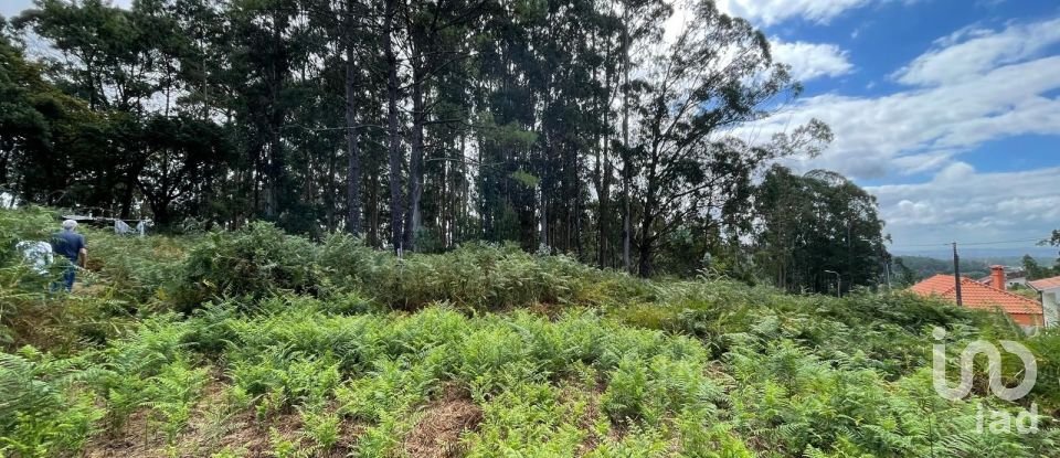 Terrain à Palmeira de Faro e Curvos de 10 350 m²