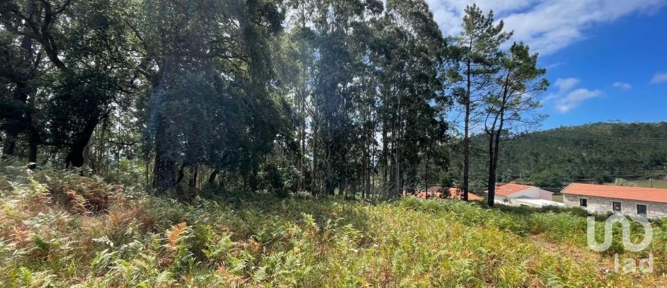 Terrain à Palmeira de Faro e Curvos de 10 350 m²