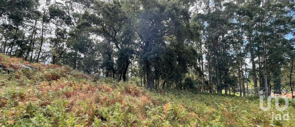 Terrain à Palmeira de Faro e Curvos de 10 350 m²