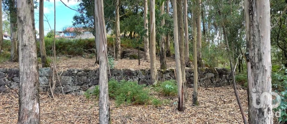 Terrain à Palmeira de Faro e Curvos de 10 350 m²