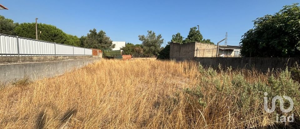 Terreno em Fernão Ferro de 350 m²