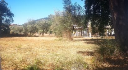 Building plot in Chão de Couce of 1,480 m²