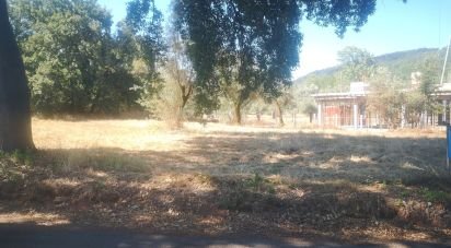 Building plot in Chão de Couce of 1,480 m²