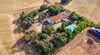 Ferme T3 à Nossa Senhora da Expectação de 441 m²