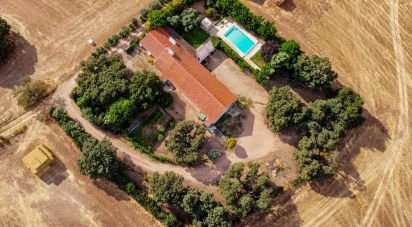 Ferme T3 à Nossa Senhora da Expectação de 441 m²