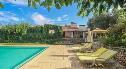 Ferme T3 à Nossa Senhora da Expectação de 441 m²