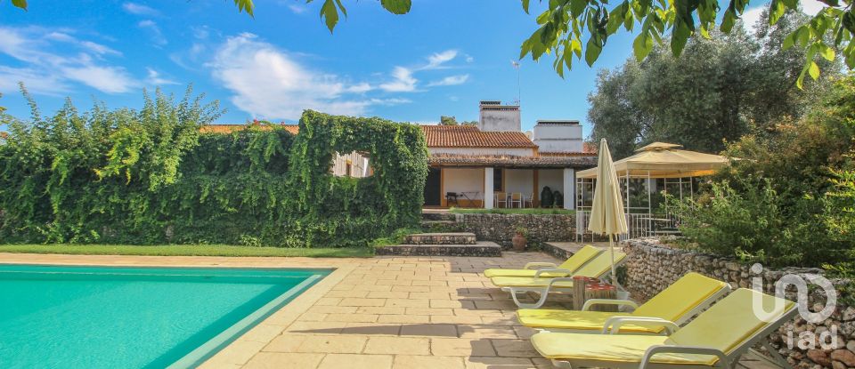 Farm T3 in Nossa Senhora da Expectação of 441 m²