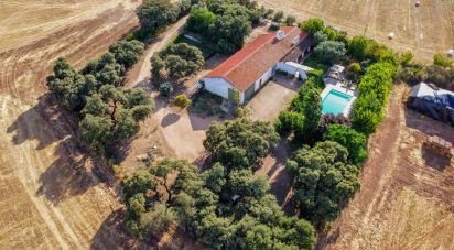 Ferme T3 à Nossa Senhora da Expectação de 441 m²