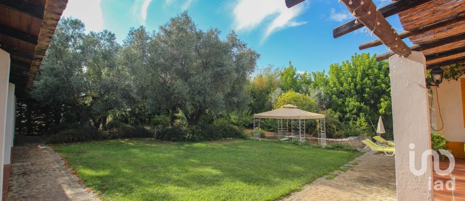 Farm T3 in Nossa Senhora da Expectação of 441 m²