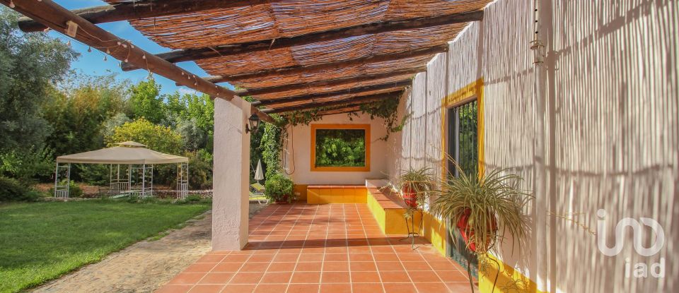 Farm T3 in Nossa Senhora da Expectação of 441 m²