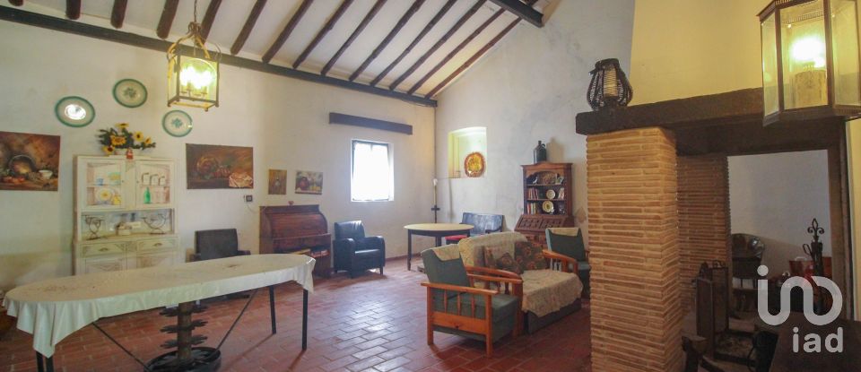 Farm T3 in Nossa Senhora da Expectação of 441 m²