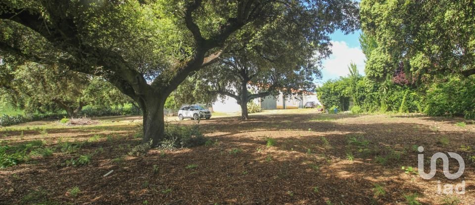 Farm T3 in Nossa Senhora da Expectação of 441 m²