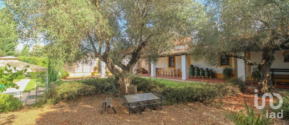 Farm T3 in Nossa Senhora da Expectação of 441 m²