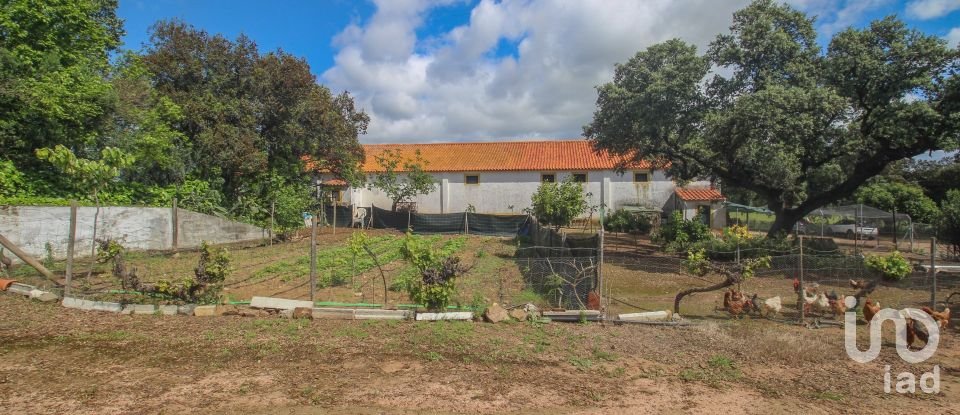 Farm T3 in Nossa Senhora da Expectação of 441 m²