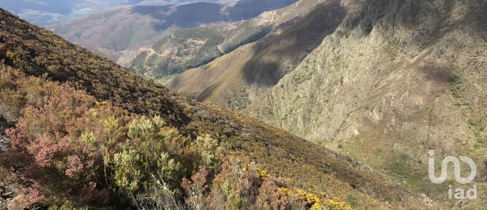 House T4 in Carvalhais e Candal of 275 m²