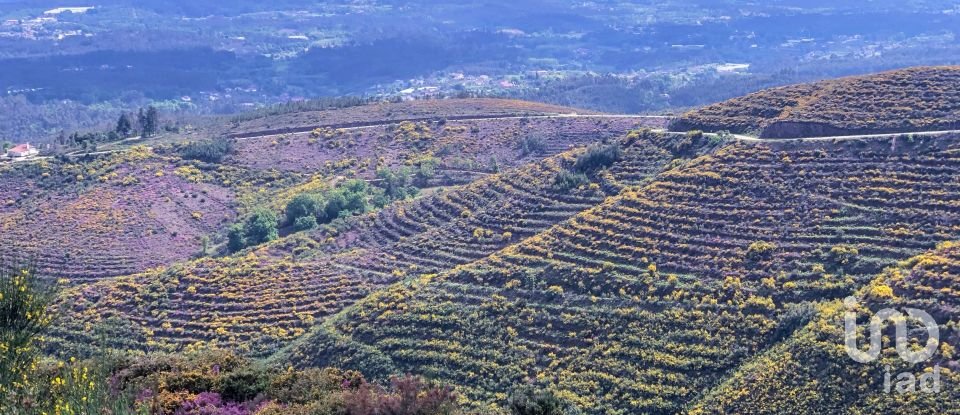 House T4 in Carvalhais e Candal of 275 m²