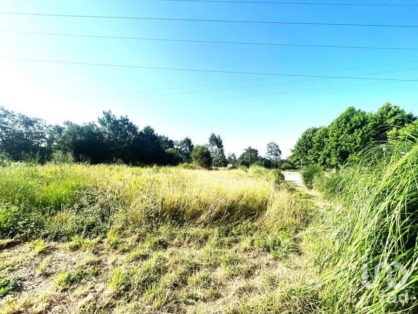 Terreno urbano em Mujães de 759 m²