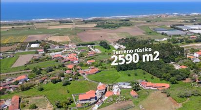 Land in Carreço of 2,590 m²