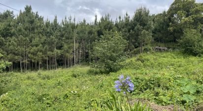 Terrain à Carreço de 2 590 m²