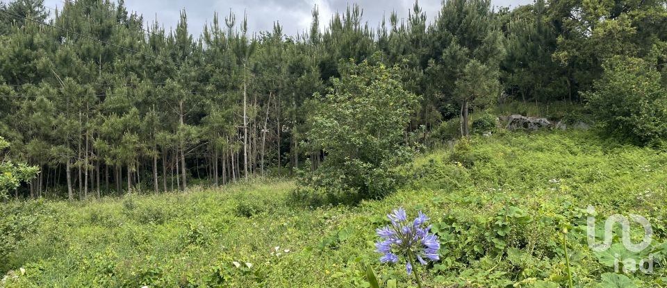 Land in Carreço of 2,590 m²