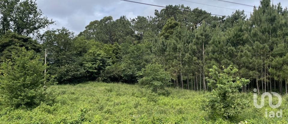 Land in Carreço of 2,590 m²