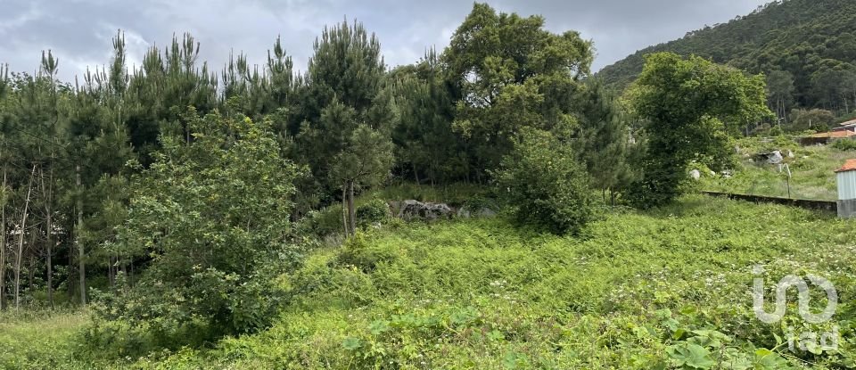 Land in Carreço of 2,590 m²