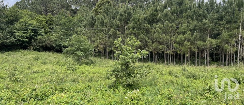 Land in Carreço of 2,590 m²