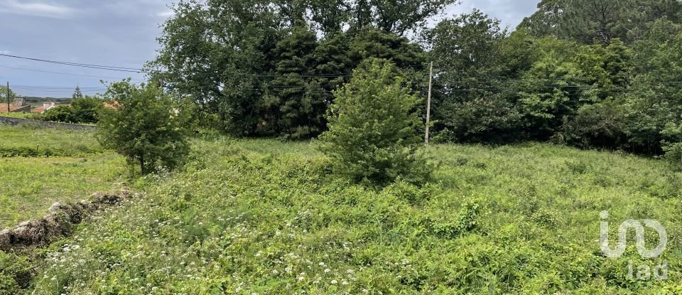Land in Carreço of 2,590 m²