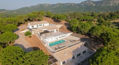 Farm T6 in Azeitão (São Lourenço e São Simão) of 332 m²