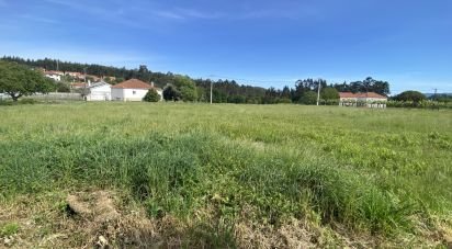 House T1 in Candemil e Gondar of 250 m²