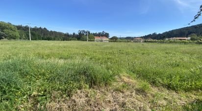 House T1 in Candemil e Gondar of 250 m²