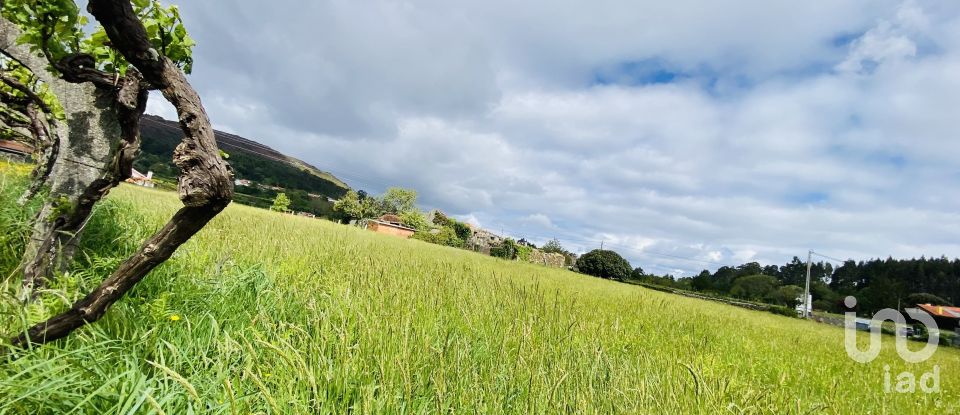 House T1 in Candemil e Gondar of 250 m²