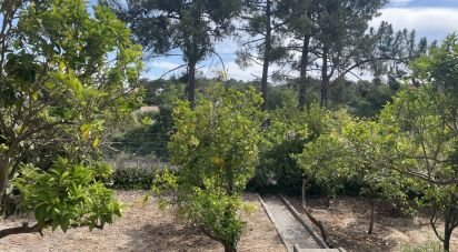 Moradia T7 em Sesimbra (Castelo) de 400 m²