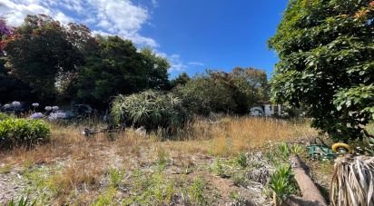 Terrain à Esposende, Marinhas e Gandra de 480 m²