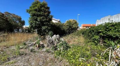 Terrain à Esposende, Marinhas e Gandra de 480 m²