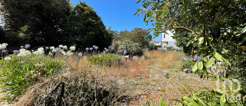 Terreno em Esposende, Marinhas e Gandra de 480 m²