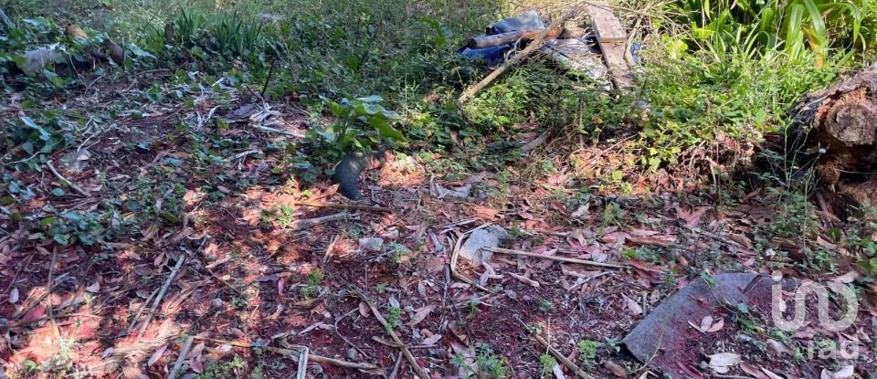 Terreno em Esposende, Marinhas e Gandra de 480 m²