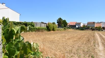 Terrain à bâtir à Ovar, São João, Arada e São Vicente de Pereira Jusã de 2 300 m²