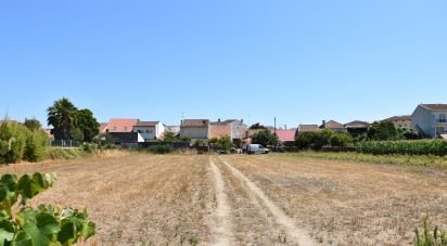 Terrain à bâtir à Ovar, São João, Arada e São Vicente de Pereira Jusã de 2 300 m²