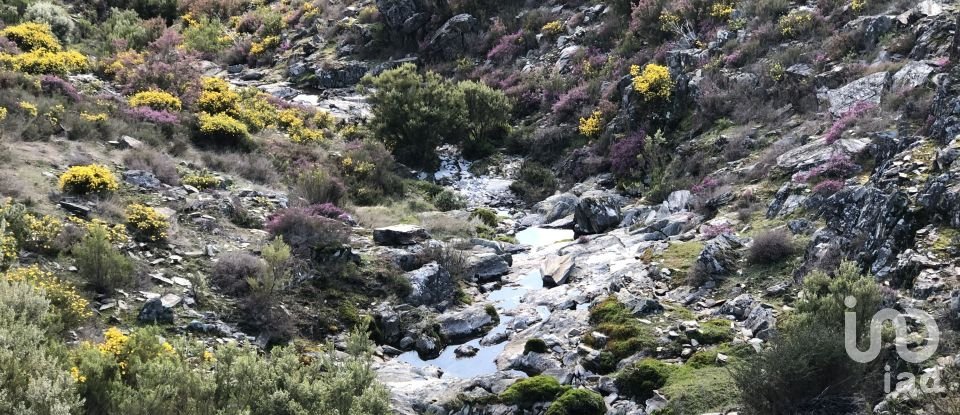 House T2 in Carvalhais e Candal of 131 m²