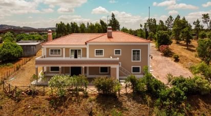 Maison de plain-pied T3 à Martinchel de 481 m²