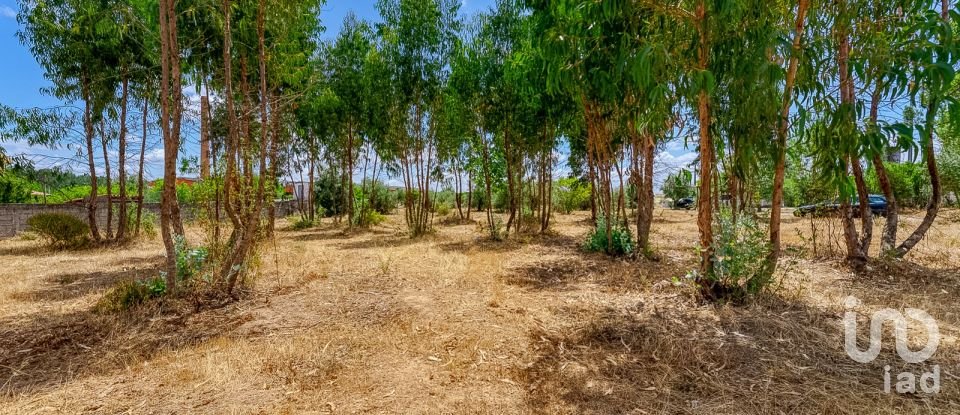 Single story home T3 in Martinchel of 481 m²